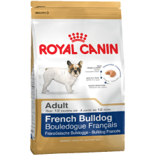 French Bulldog Royal Canin